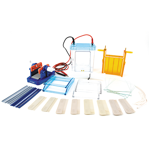 北京六一DYCZ-24EN雙垂直電泳儀(中號(hào))